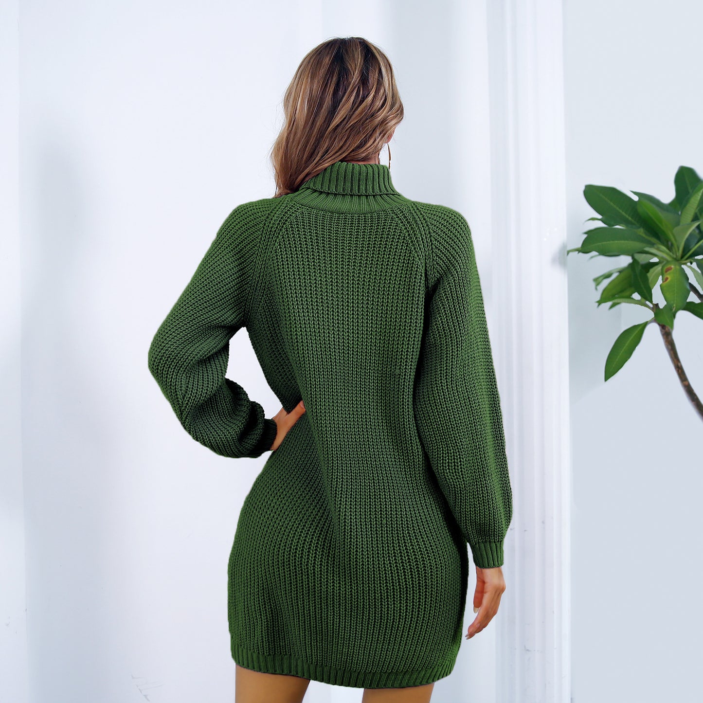 Turtleneck Long Sweater Dress