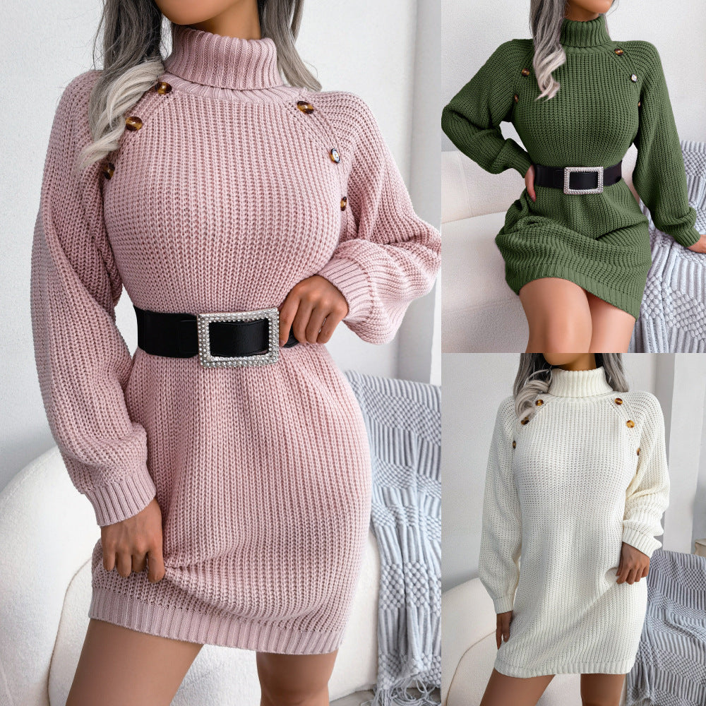 Turtleneck Long Sweater Dress